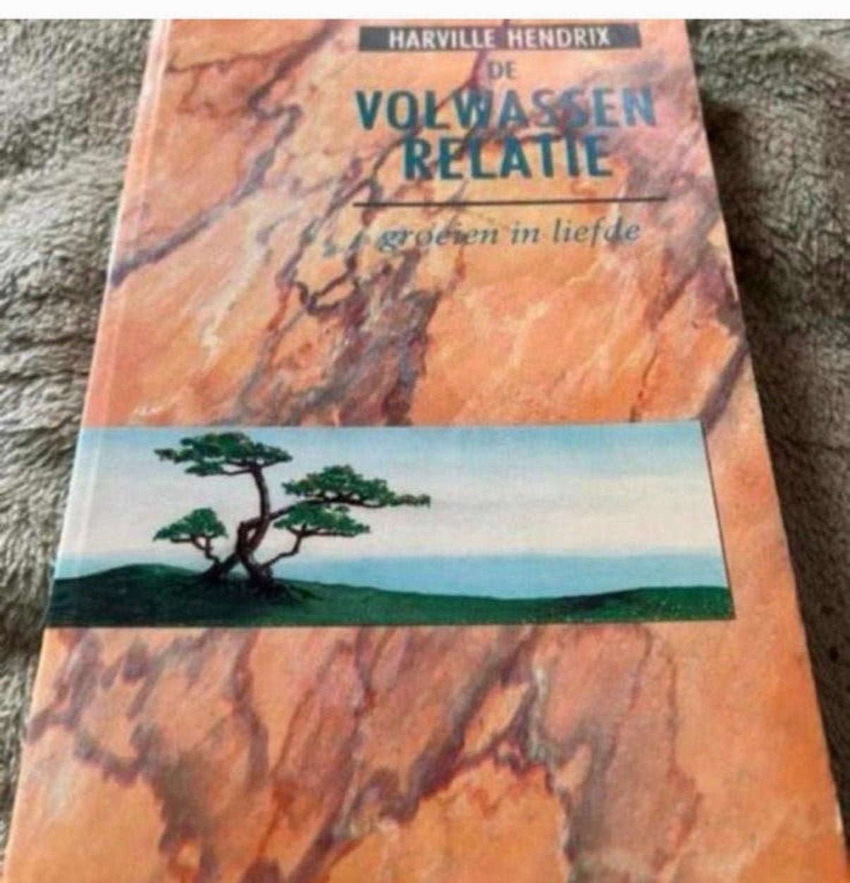 De volwassen relatie, Ophalen of Verzenden, Zo goed als nieuw