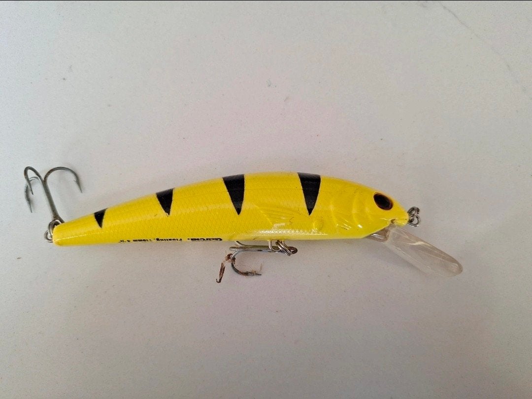 Abu garcia tormentor kunstaas plug, Watersport en Boten, Ophalen of Verzenden, Zo goed als nieuw, Overige typen