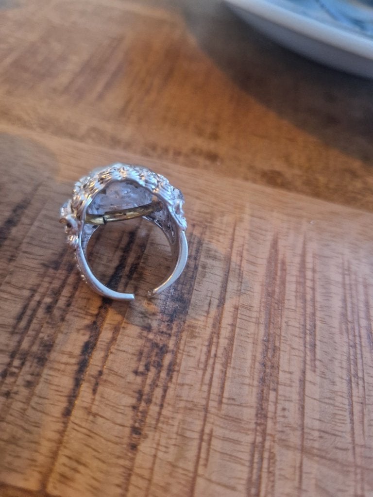 925 zilveren ring. Draak met ring. Maat 20., Ophalen of Verzenden, Zilver, Ring