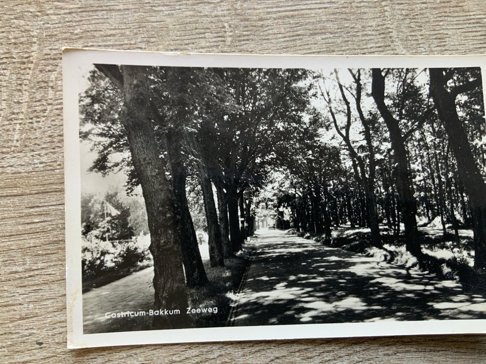 Castricum-Bakkum Zeeweg, Ophalen of Verzenden, 1920 tot 1940, Gelopen, Noord-Holland