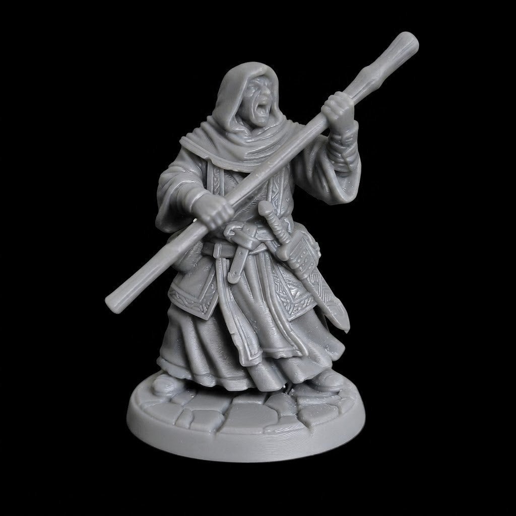 Monk Miniature D&D HQ dungeon's and dragons, Ophalen of Verzenden, Overige soorten
