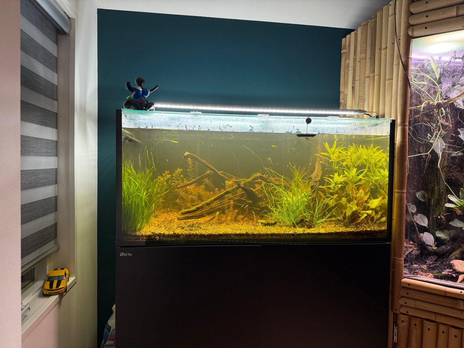Red Sea Reefer G2+ 425XL Zwart, Dieren en Toebehoren, Ophalen, Zo goed als nieuw, Leeg aquarium, Red Sea