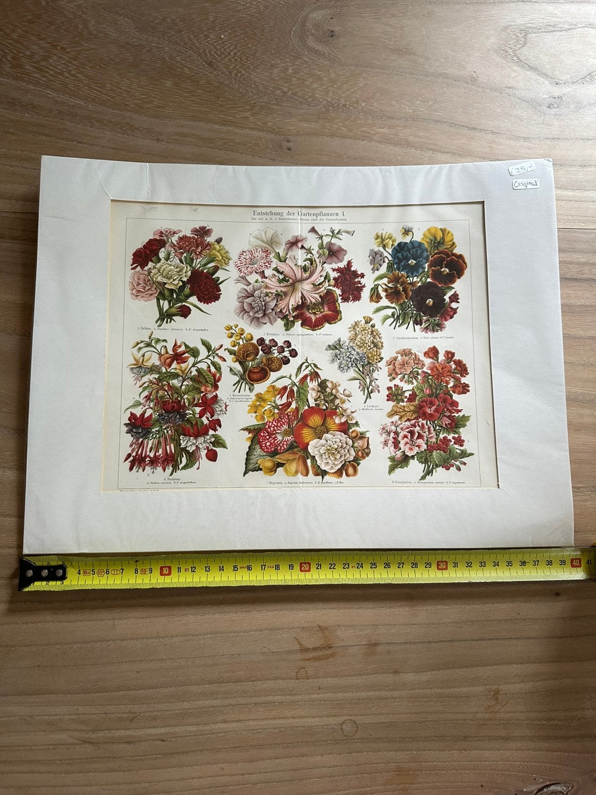 Prachtige 19e-eeuwse Duitse chromolithografie Joseph Meyer, Ophalen of Verzenden