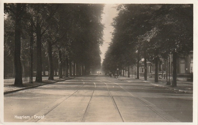 Haarlem Dreef, Ophalen of Verzenden, 1940 tot 1960, Gelopen, Noord-Holland