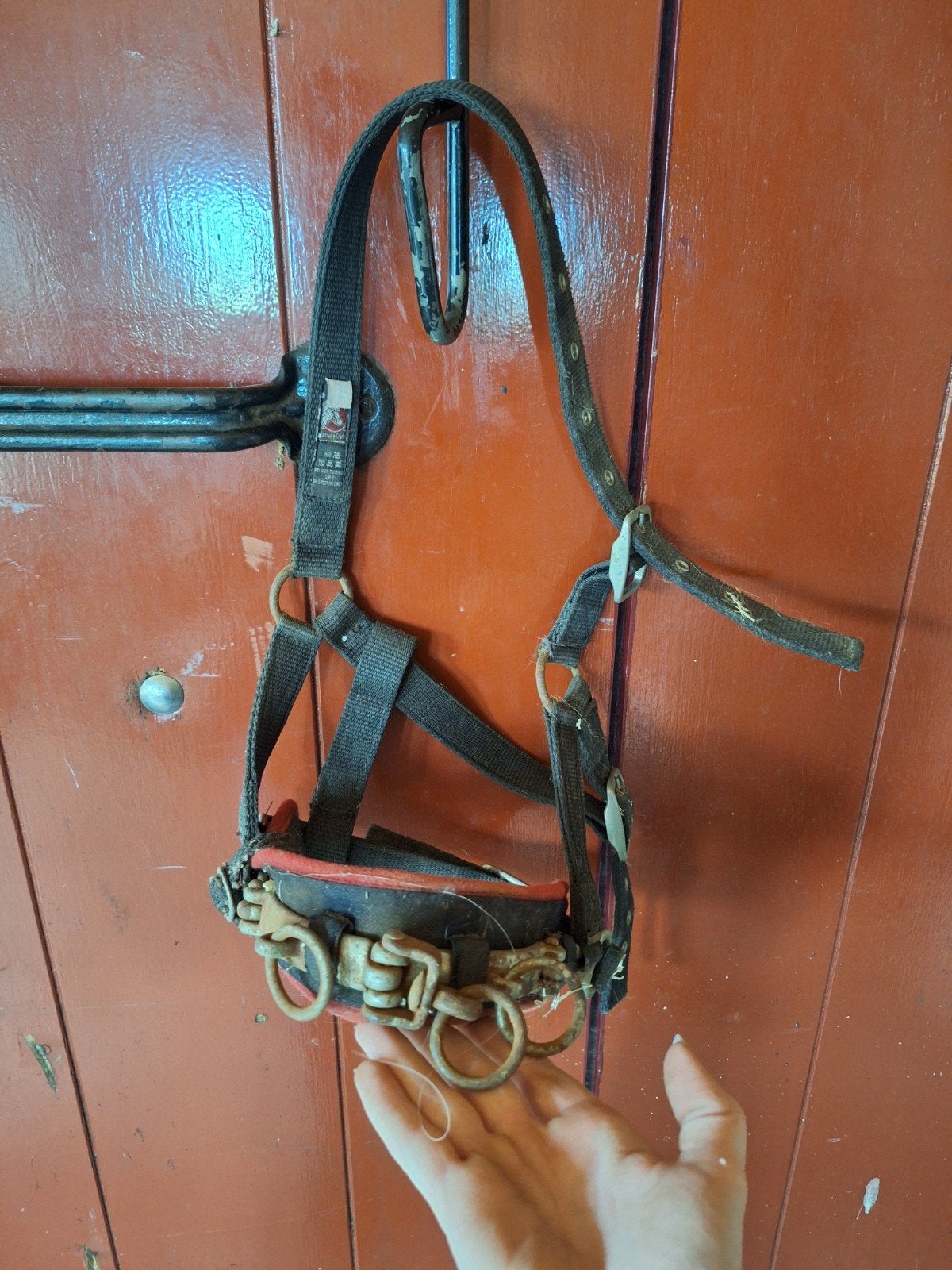 Kaptoom maat Pony, Ophalen of Verzenden, Gebruikt, Kaptoom, Pony