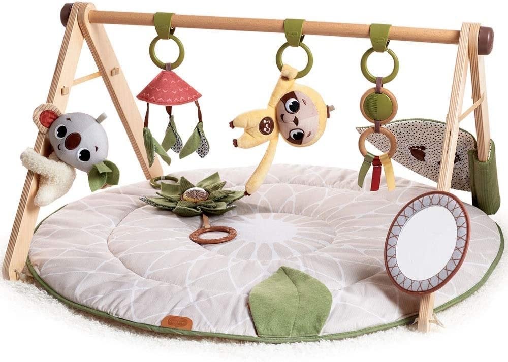 Tiny Love Babygym met werkend geluid en speelkleed, Ophalen of Verzenden, Zo goed als nieuw, Babygym, Met geluid