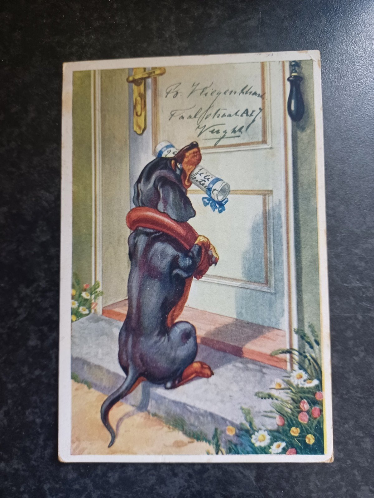 Teckel komt de post bezorgen 1930, Ophalen of Verzenden, 1920 tot 1940, Gelopen, Hond of Kat