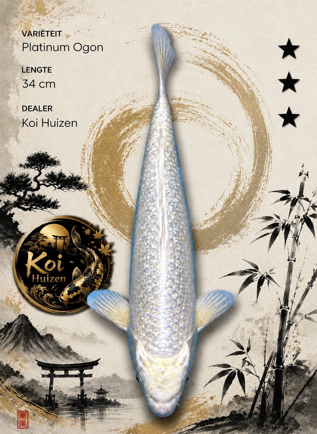 Platinum Ogon koi 35cm, Karper of Koi