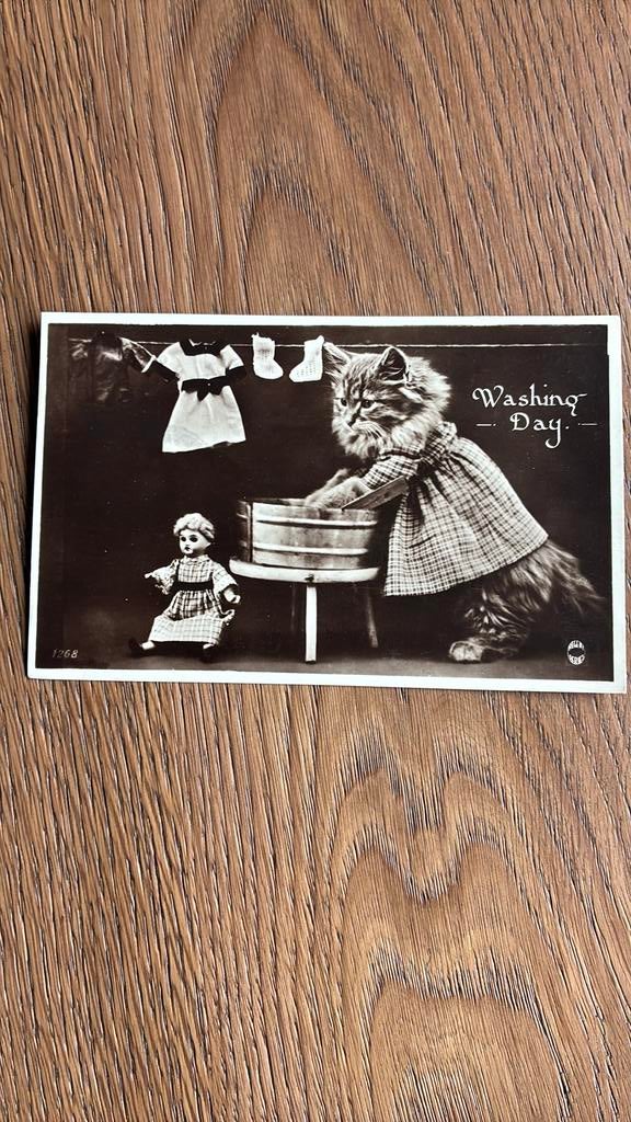 Fantasie. Poes bij wastobbe, waslijn, pop.Wasdag1926, Ophalen of Verzenden, 1920 tot 1940, Gelopen, Overige thema's