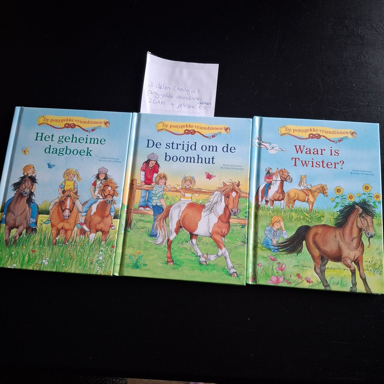 hele serie van Ponygekke vriendinnen, Boeken, Ophalen, Zo goed als nieuw, Fictie algemeen