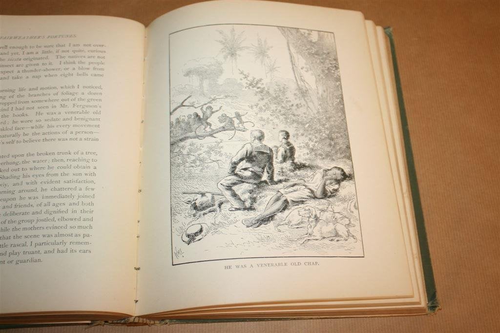 Frank Fairweather\'s Fortunes. True Williams. 1890, Antiek en Kunst, Ophalen of Verzenden