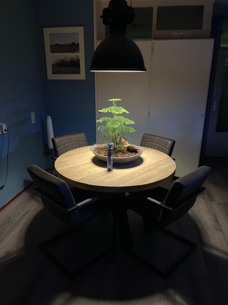 Ronde mango houten eettafel met 4 stoelen, Ophalen, Rond, Zo goed als nieuw, Vier personen