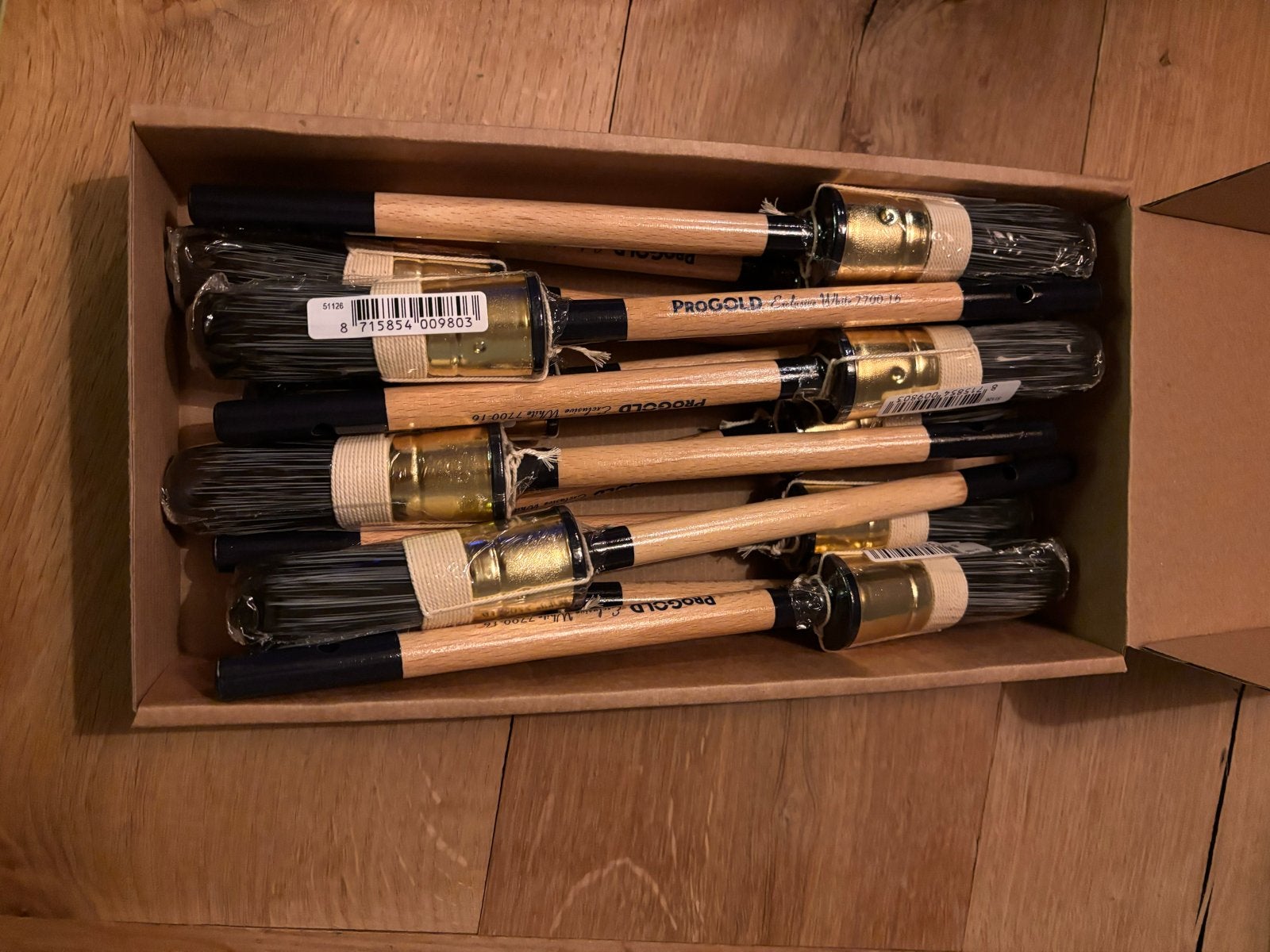 Nieuwe ProGold Verfkwasten exclucive white maat 16, Doe-het-zelf en Verbouw, Ophalen of Verzenden, Nieuw, Kwast