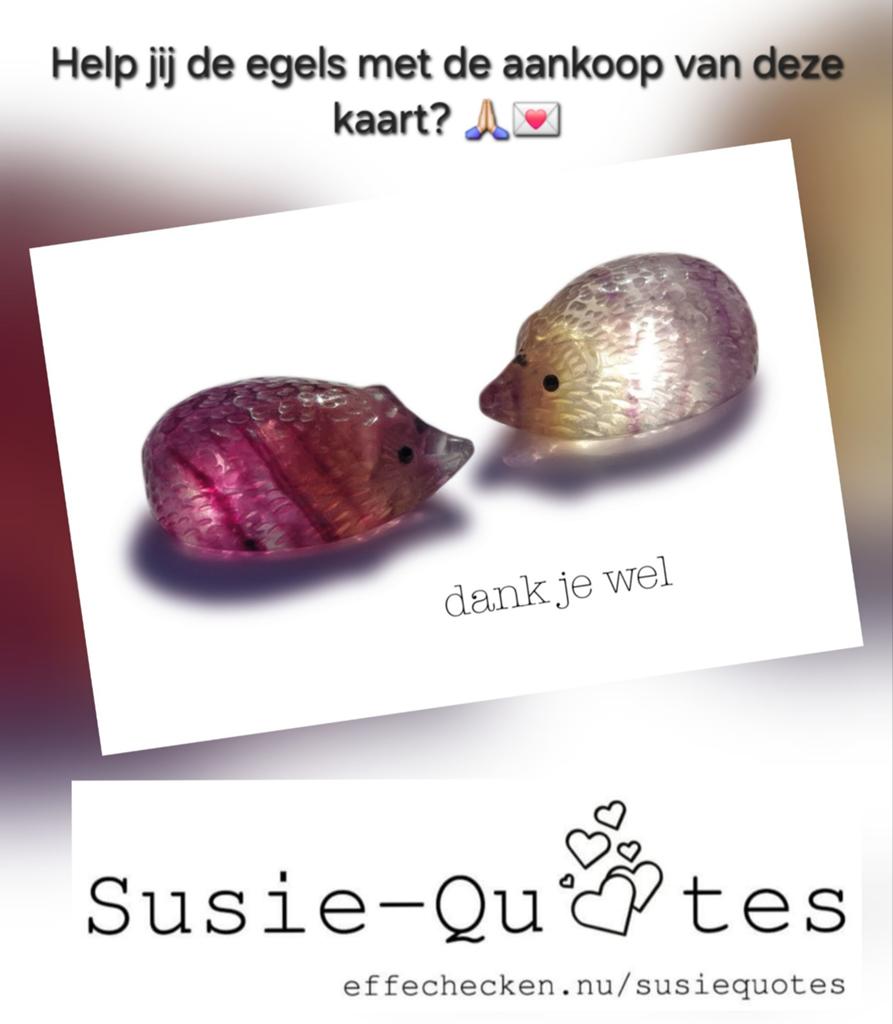 Ansichtkaart met egels, Ophalen of Verzenden, 1980 tot heden, Ongelopen, Overige soorten