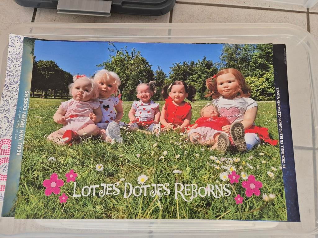 Lotjes Dotjes Reborns Poster - Levensechte Poppen, Ophalen, Gebruikt, Overige typen, Levensecht of Reborn