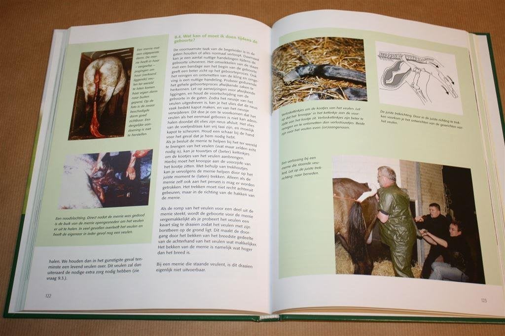 Paardenfokkerij. Dekken, dracht, geboorte, het veulen., Ophalen of Verzenden, Zo goed als nieuw, Katten