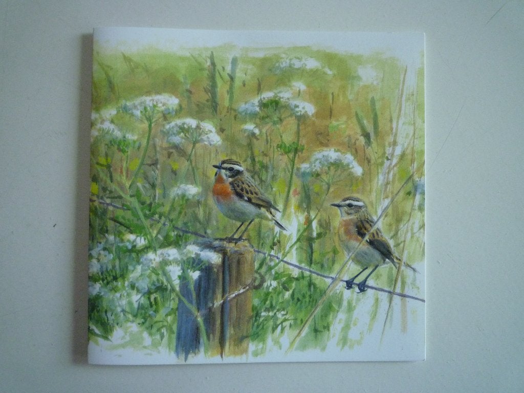 Kunstkaart Elwin van der Kolk paapjes vogels, Ophalen of Verzenden, Voor 1920, Vogel