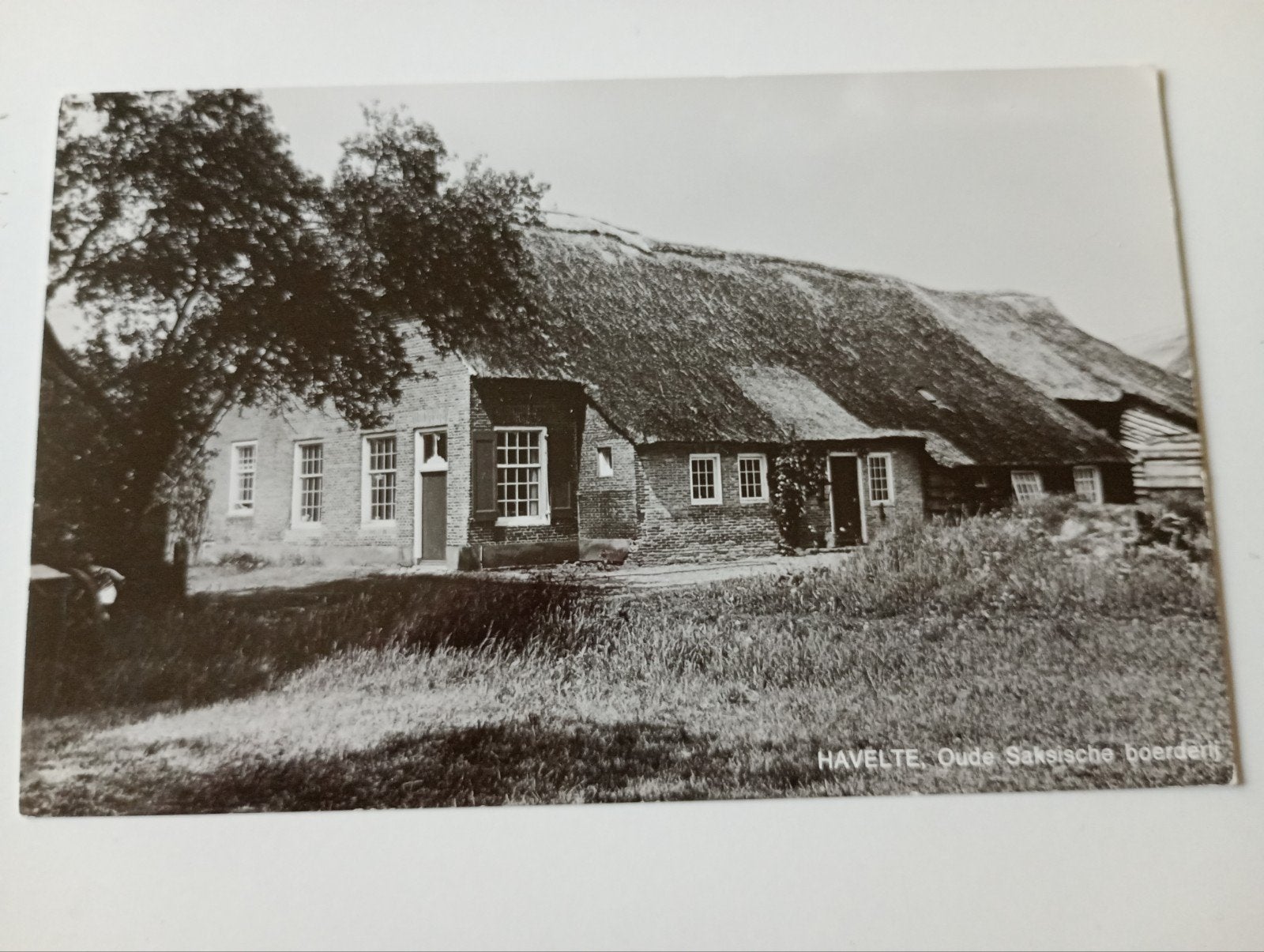 Havelte Boerderij, Ophalen of Verzenden, 1940 tot 1960, Ongelopen, Drenthe