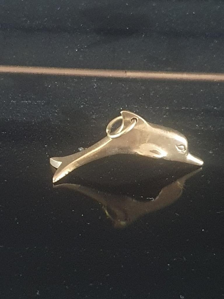 Hanger messing dolfijn, Ophalen