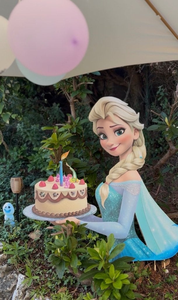 Frozen verjaardag decoratie, Ophalen, Zo goed als nieuw, Versiering, Verjaardag