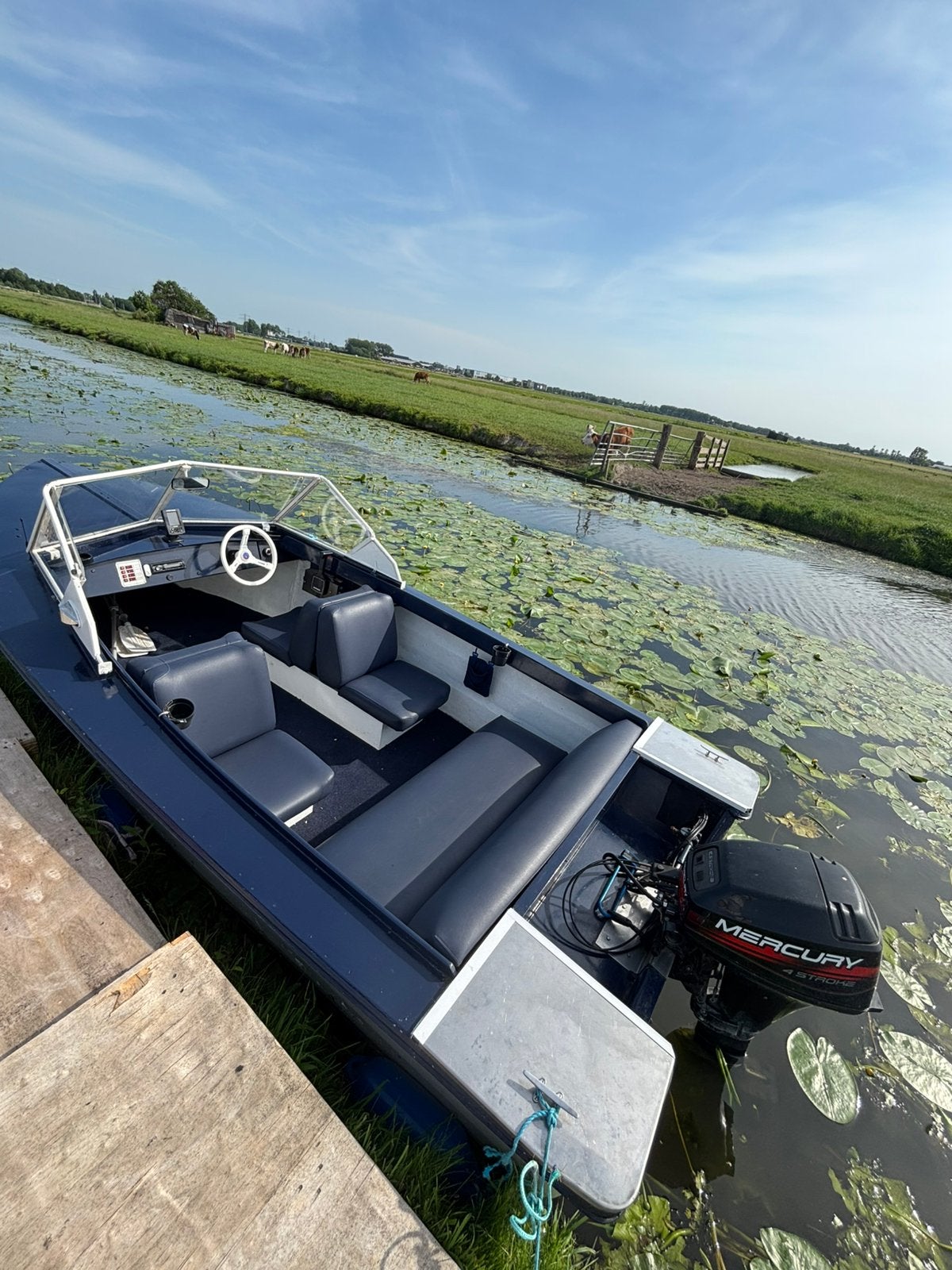 Nette boot met 9.9pk mercury, Gebruikt, Buitenboordmotor, Polyester, Benzine