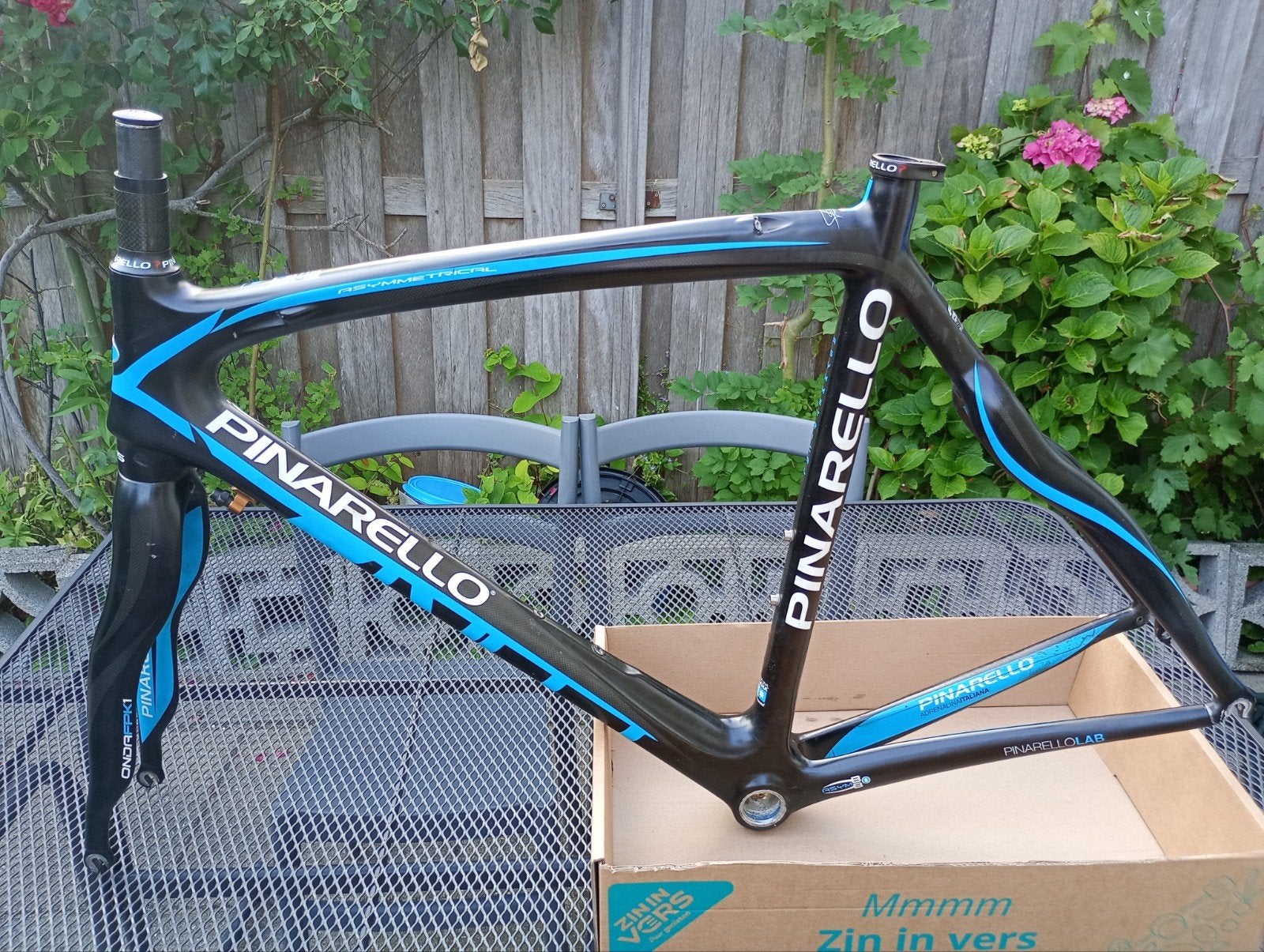 Pinarello Paris 50.1.5 Carbon Racefiets Frame (defect), Ophalen, Gebruikt, Viale della Repubblica, 12, 31050 Villorba TV, Italië