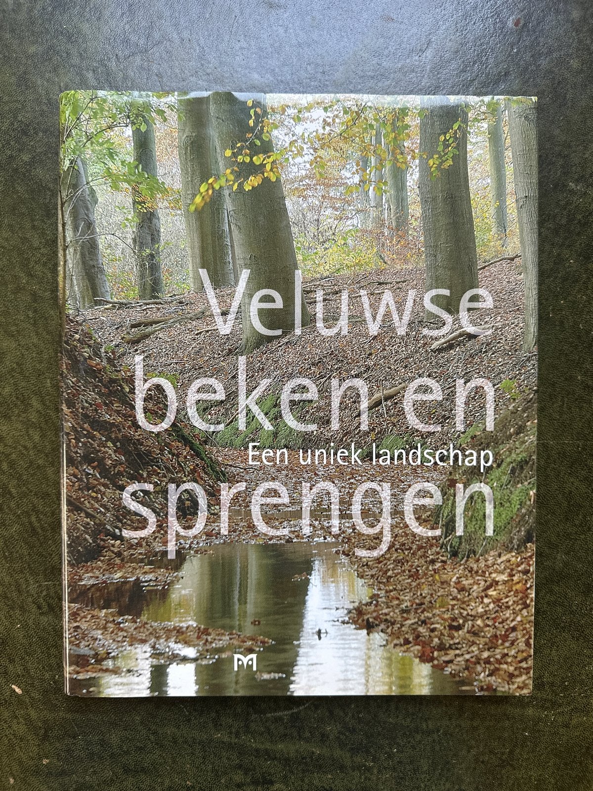 Veluwse beken en sprengen: Een uniek landschap, Ophalen of Verzenden, Zo goed als nieuw, Wandel- of Recreatiegebieden