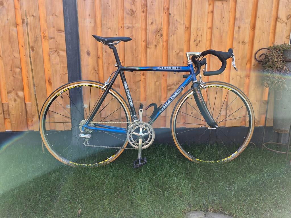 Vintage Racefietsen,  pinarello, koga, giant, campagnolo,, Ophalen, Gebruikt, Staal, Batavus