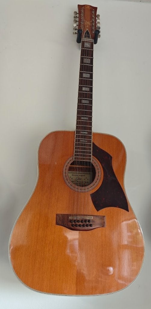 Vintage 12-snarige gitaar EKO Rio Bravo, Muziek en Instrumenten, Ophalen of Verzenden, Gebruikt, Klassieke of Spaanse gitaar, 12-snarig