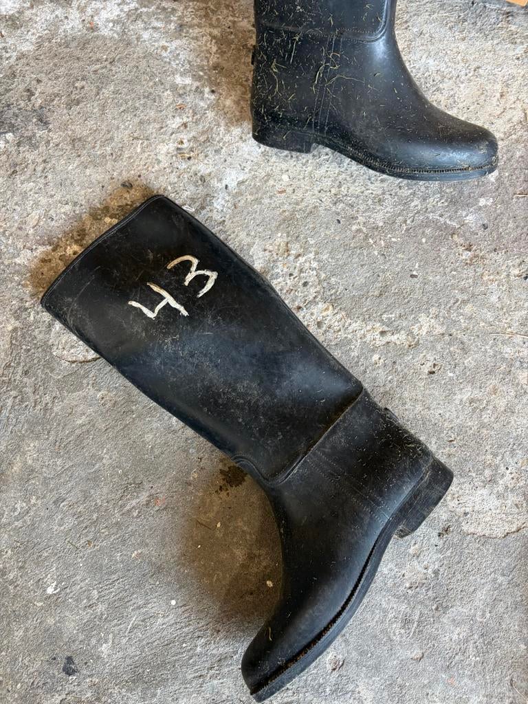 Laarzen paardrijden heren maat 43, Ophalen of Verzenden, Dressuur, Heren, Schoeisel