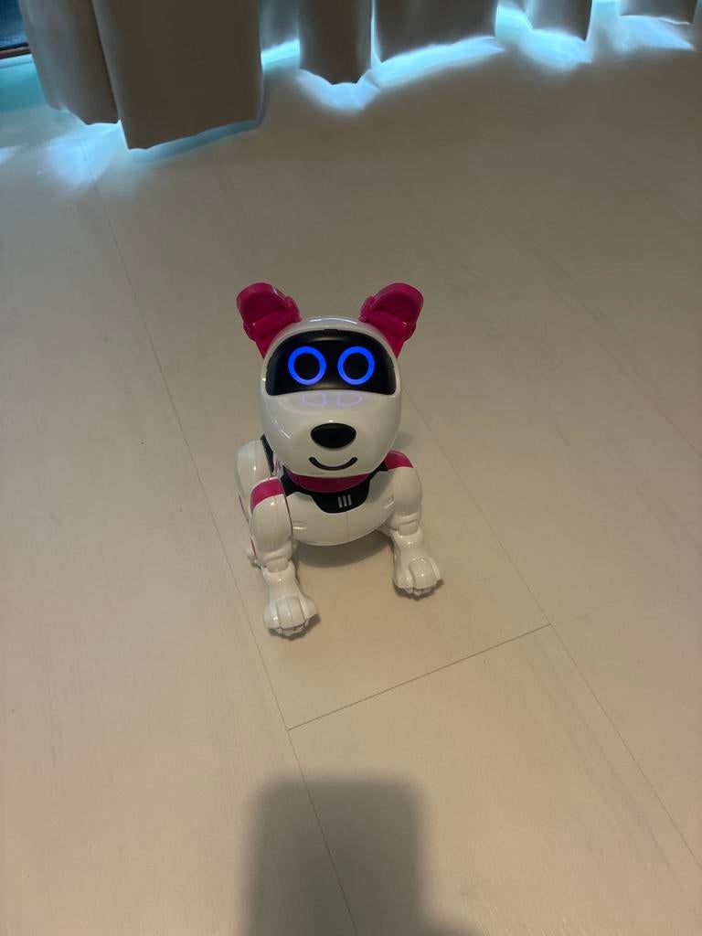 Interactieve Robot Hond met Afstandsbediening, Ophalen, Zo goed als nieuw, Jongen of Meisje