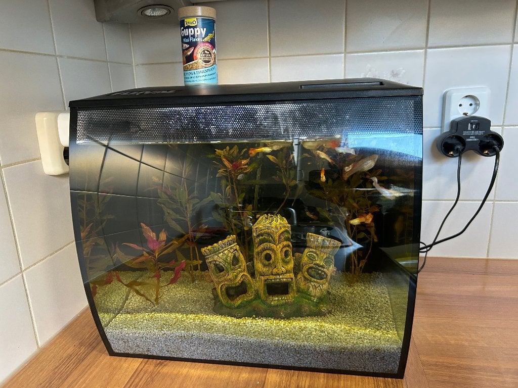Aquarium compleet, Ophalen, Fluval, Pomp, Gevuld zoetwateraquarium