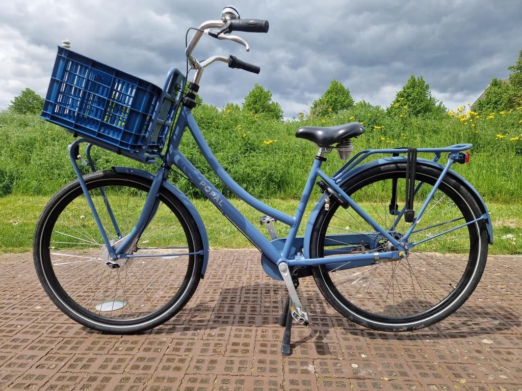 Popal Daily Dutch Basic Damesfiets met voordrager, Overige merken, Terugtraprem, Ophalen of Verzenden, 50 tot 53 cm