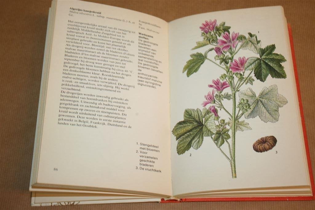 Geneeskruiden - Fr. Starý en V. Jirásek - Meulenhoff, Boeken, Ophalen of Verzenden, Gelezen, Kruiden en Alternatief
