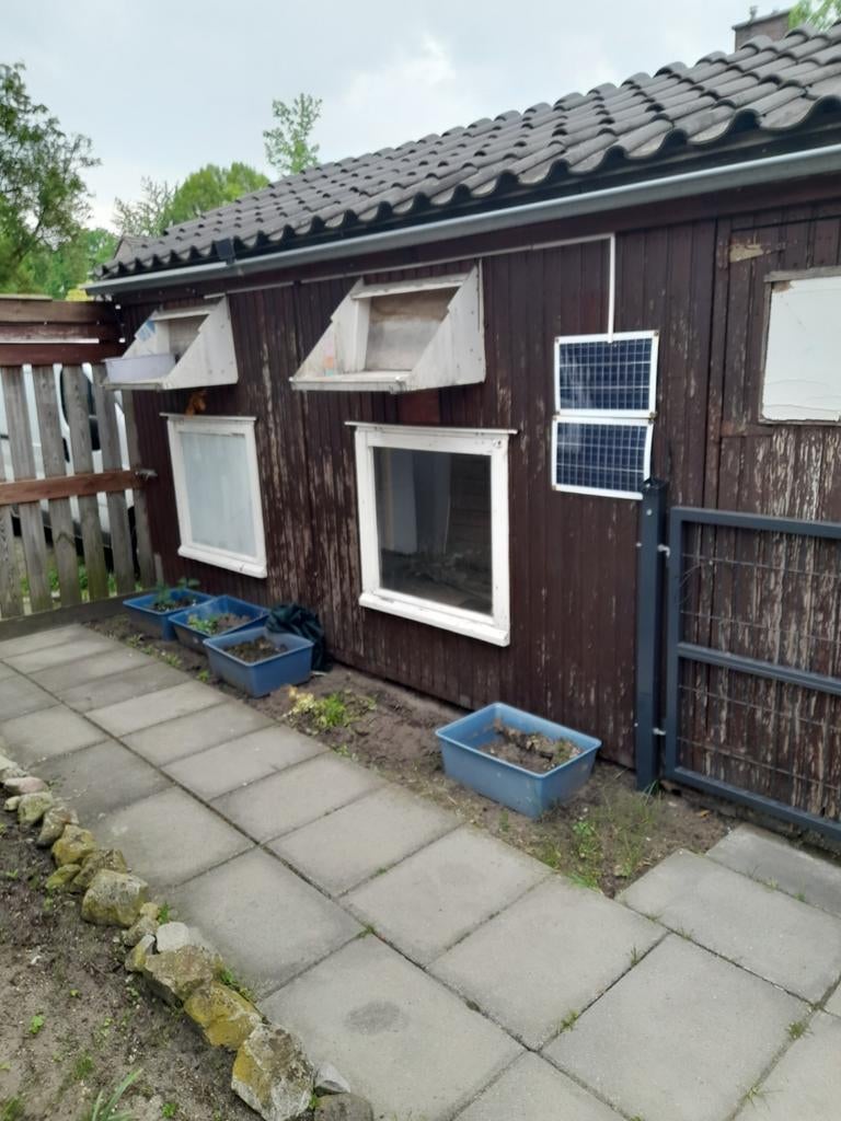 Duivenhok gratis met wat schilderwerk, Dieren en Toebehoren, Vogels | Hokken en Kooien, Ophalen, Gebruikt, Hout, Vogelkooi