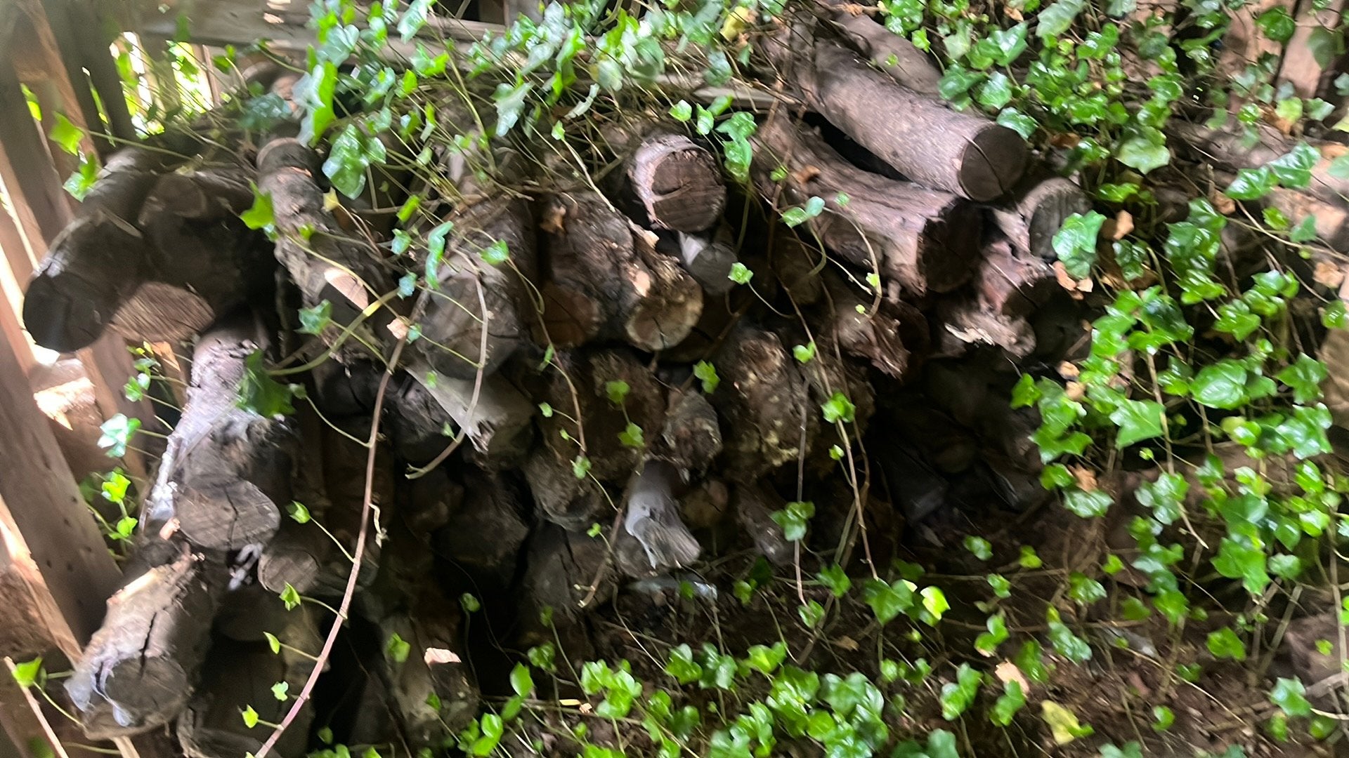 Stookhout droog, Tuin en Terras, Haardhout, Minder dan 3 m³, Ophalen