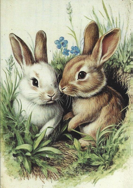 Pasen prentbriefkaart: Knus in het holletje {7}, Verzenden, 1980 tot heden, Ongelopen, Feest(dag)