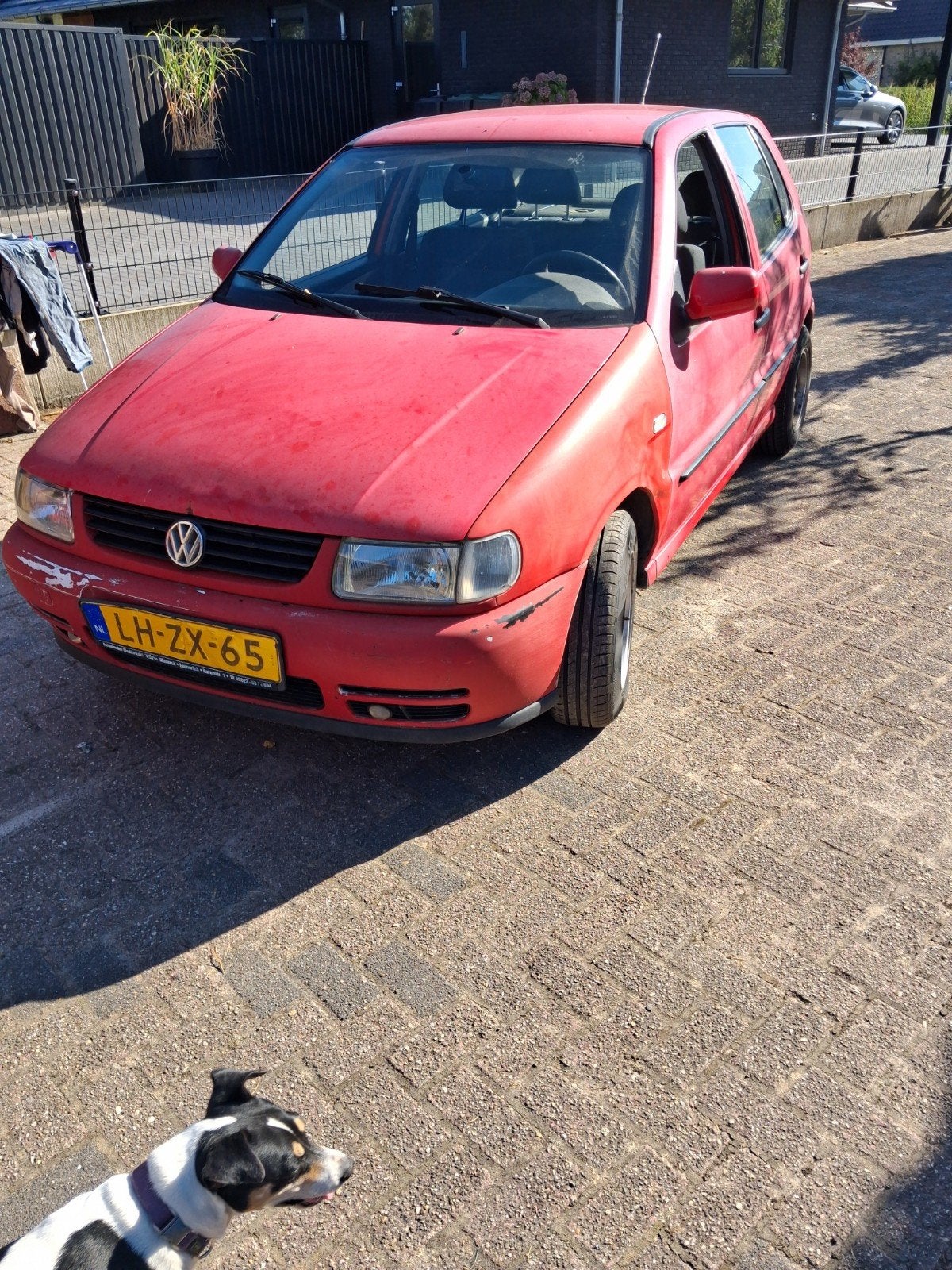 vw polo 1995 voor loop of sloop, Auto-onderdelen, Overige Auto-onderdelen, Ophalen, Nieuw