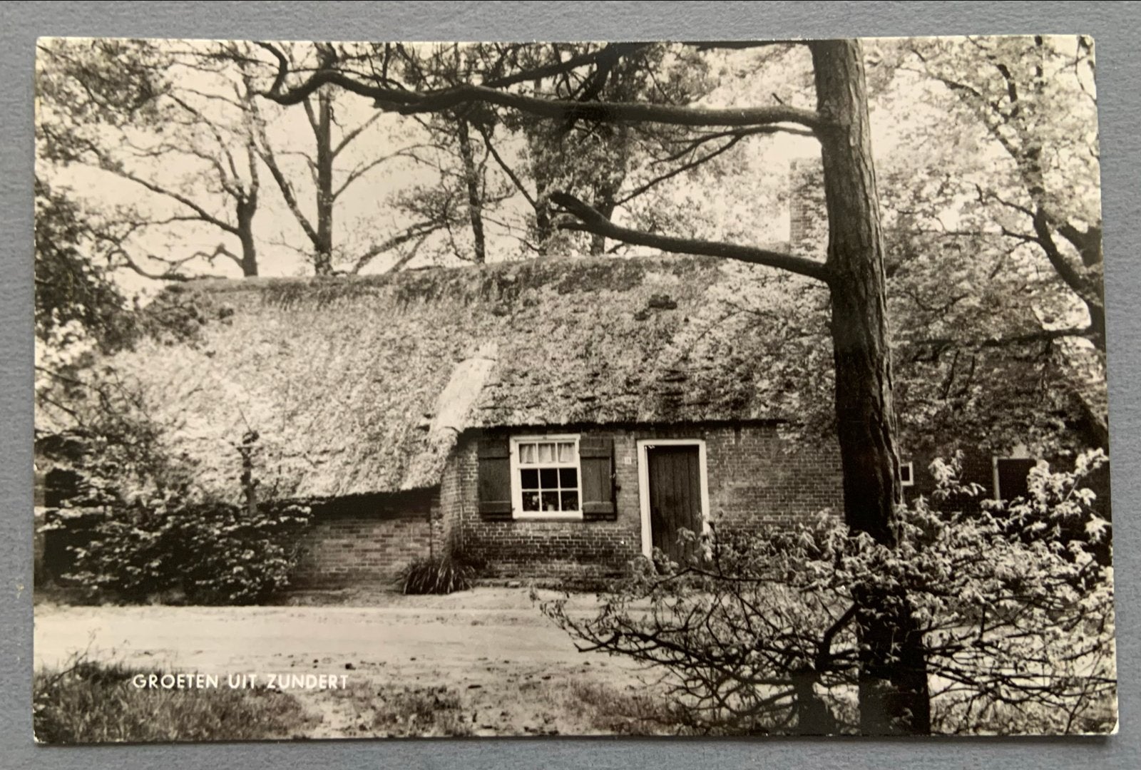 Groeten uit Zundert met boerderij, Ophalen of Verzenden, 1920 tot 1940, Gelopen, Drenthe