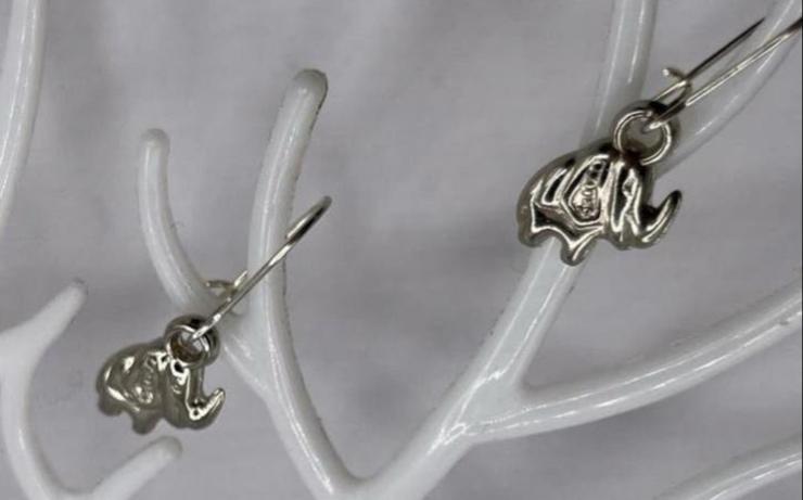 Zilverkleurige Olifant Oorbellen - Fashion Sieraden, Overige materialen, Hangers, Nieuw, Ophalen of Verzenden