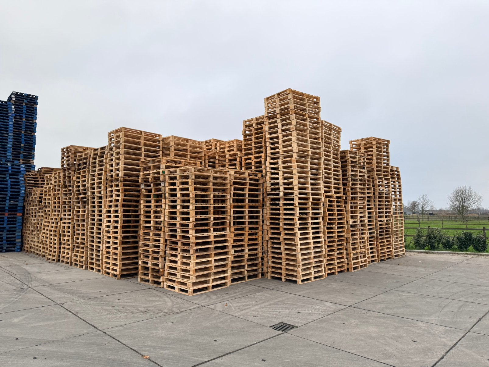 Goedkope blokpallets, Zakelijke goederen, Ophalen of Verzenden