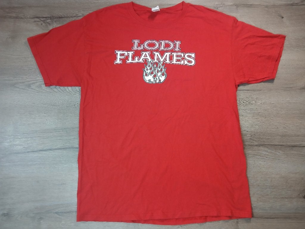 fruit of the Loom: Lodi Flames, Kleding | Heren, T-shirts, Maat 52/54 (L), Ophalen of Verzenden, Zo goed als nieuw, Fruit of the loom