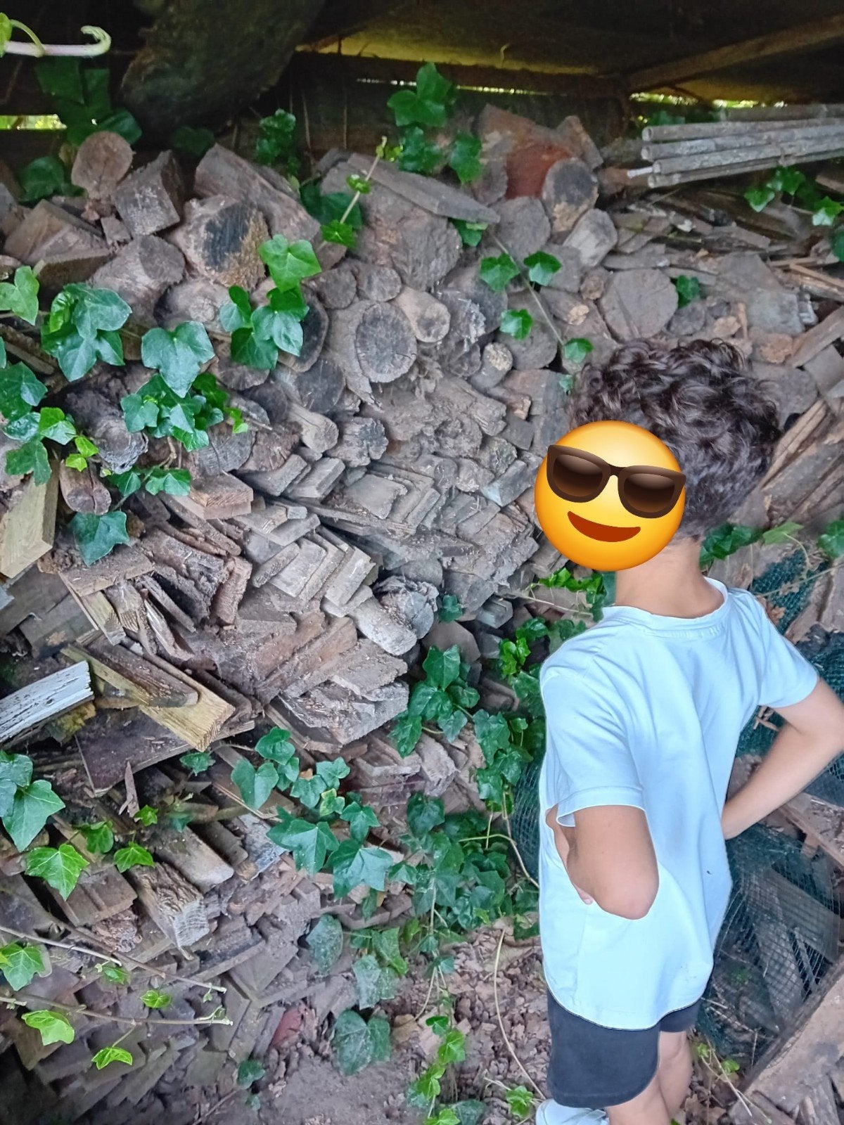 Gratis hout afhalen