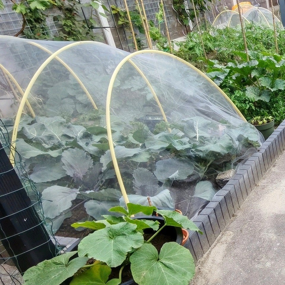 Pvc pijp voor gaas in moestuin, Ophalen, Overige typen