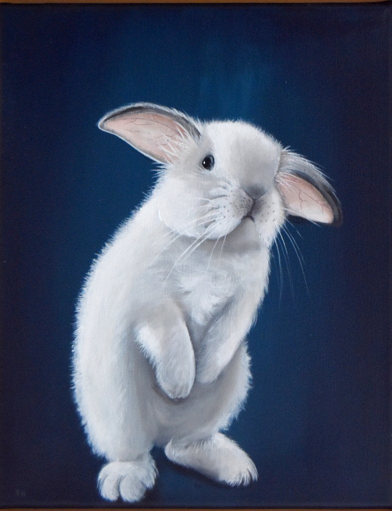Lief wit konijntje op doek, ingelijst in een mooie baklijst, Ophalen of Verzenden, Gelimiteerde oplage, Acrylverf, Dieren