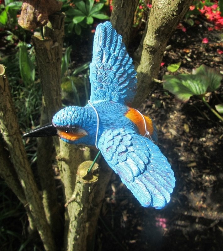 IJSVOGELTJE - THE BEAUTY.....OP STEKERTJE - VLIEGEND, Ophalen of Verzenden, Nieuw