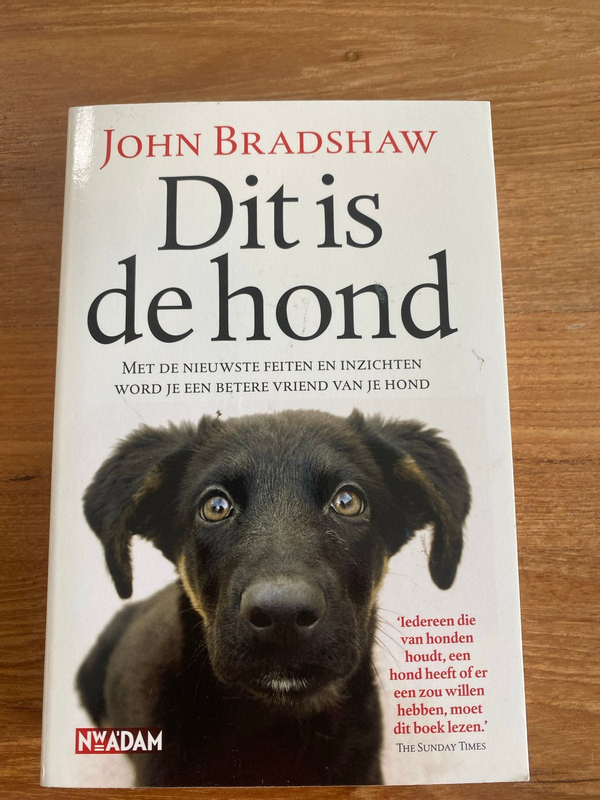 Dit is de hond - John Bradshaw (Hondenboek), Ophalen of Verzenden, Gelezen, Honden