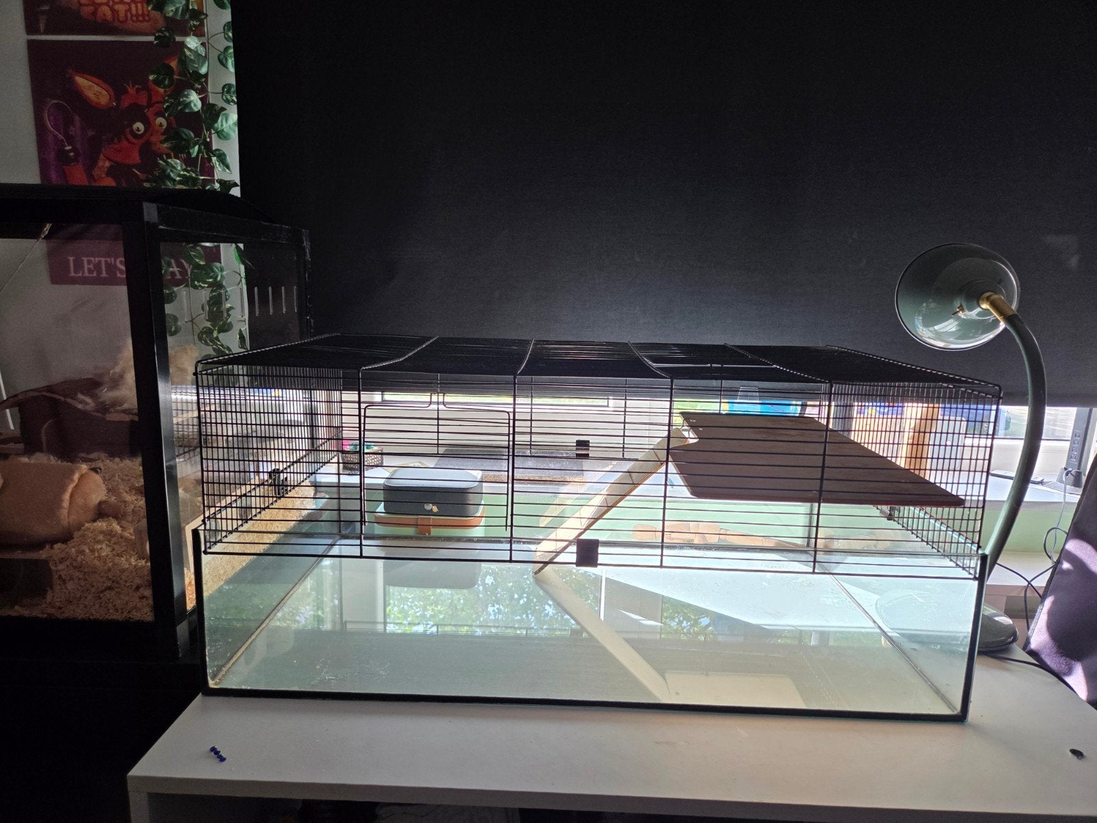 Hamsterkooi 78x48x34,5 cm , Kooi, Gebruikt, Minder dan 75 cm, Ophalen
