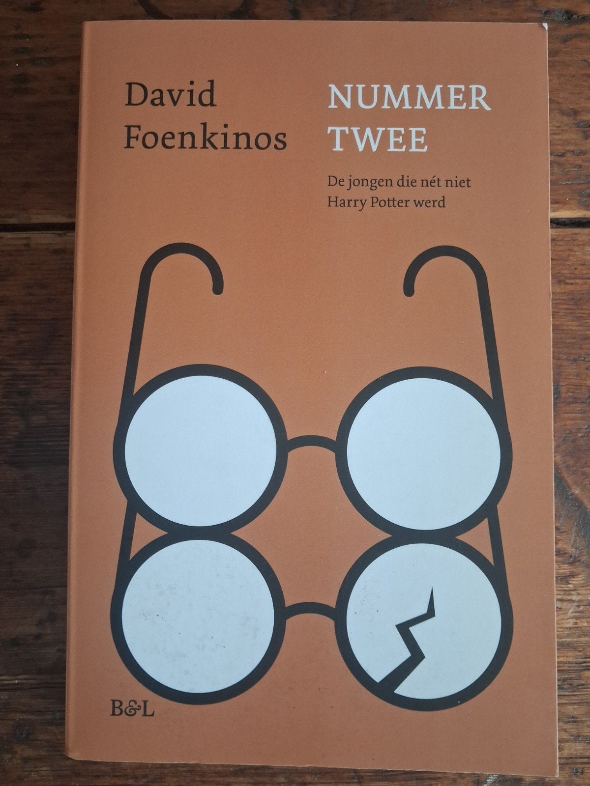 David Foenkinos - Nummer twee (Over Harry Potter), Ophalen of Verzenden, Zo goed als nieuw, David Foenkinos