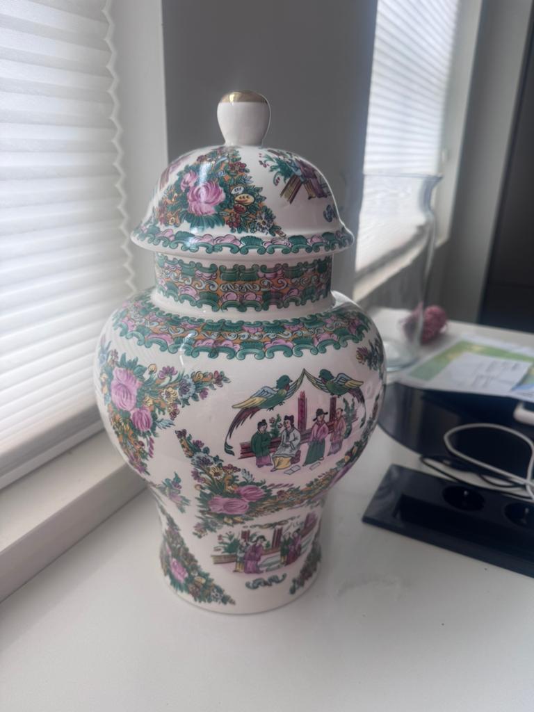 Prachtige Chinese gemberpot met gedetailleerde decoratie, Ophalen